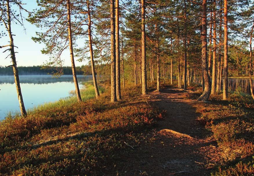 Suolla viihtyviä perhosia, sudenkorentoja ja sisiliskoja on runsaasti. Pahkalammi ja Pahkalähde ovat arvokkaita pienvesiä, jotka osaltaan rikastuttavat suomaisemaa.