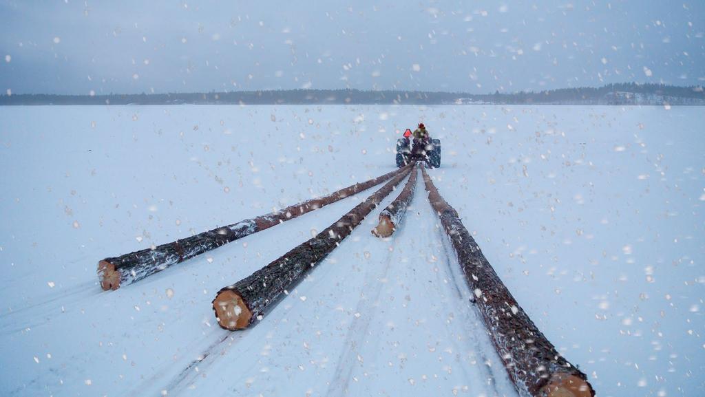 Kerään metsästä suuren osan ruokaani --. "Omistan 50 ha metsää, jota olen hoitanut 15- vuotiaasta alkaen, nyt siis jo 46 vuotta rakkaudella.