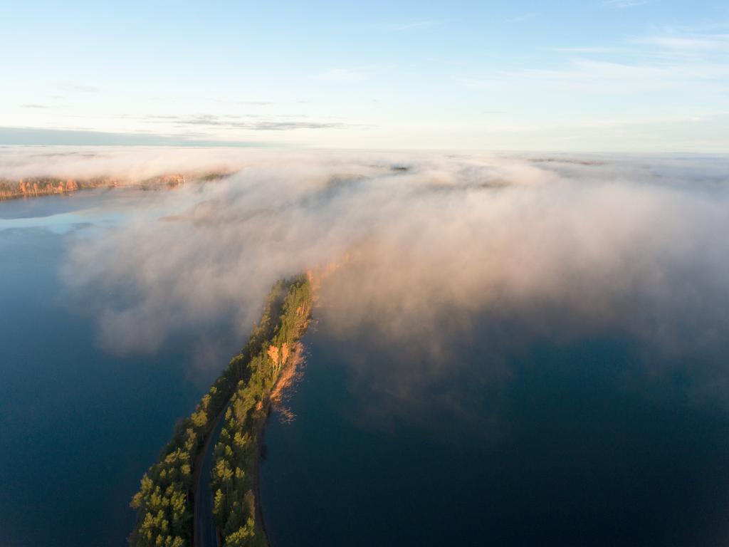 Lusto - Suomen Metsämuseo on Punkaharjulla tukikohtaansa pitävä valtakunnallinen metsäkulttuurin erikoismuseo, joka vahvistaa suhteita metsään ja metsäkulttuurin yhteiskunnallista vaikuttavuutta