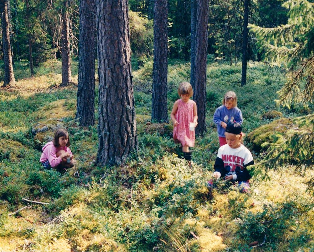 perinne: luonto luotu ihmistä varten, ihminen on jumalan puutarhuri Luonto on