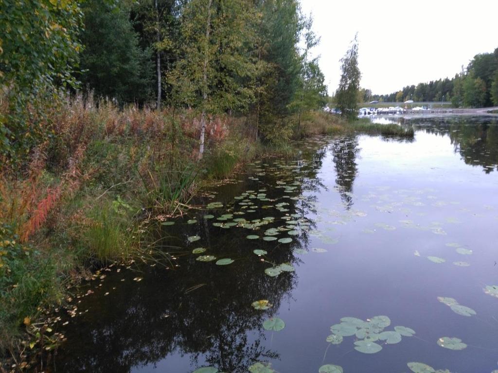 Vastaanottaja Yksityinen Asiakirjatyyppi Hulevesiselvitys Päivämäärä 7.2.