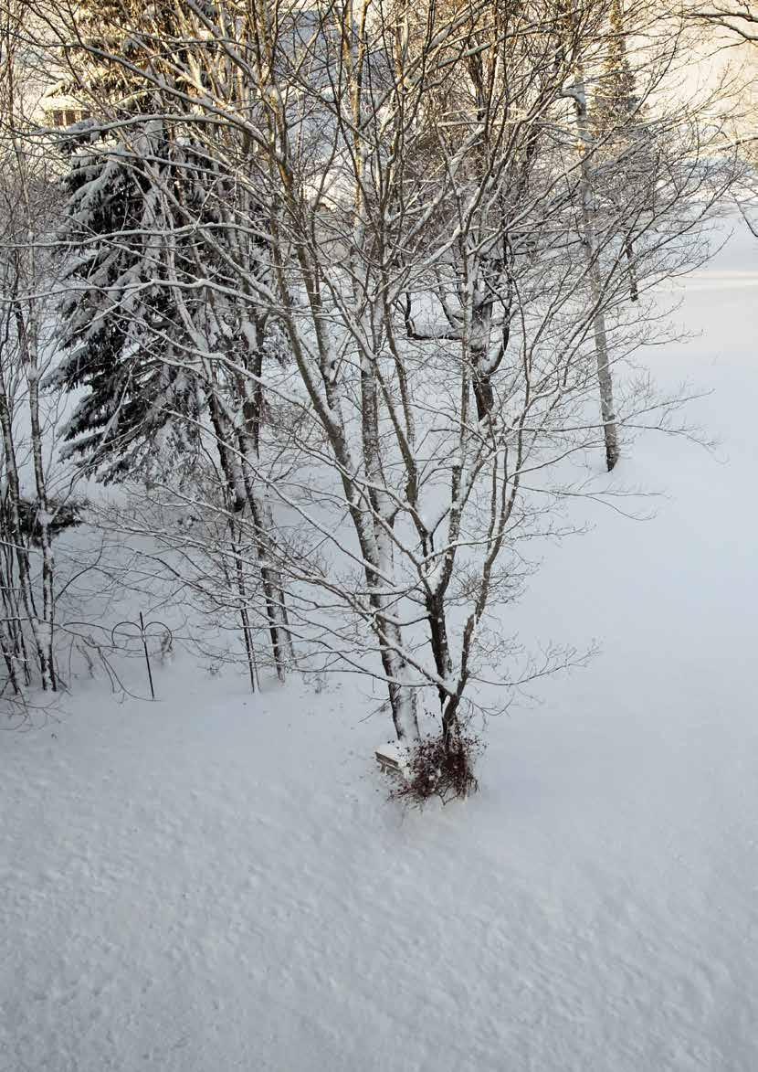 Torolla on tyytyväisiä asiakkaita kaikkialla maailmassa. Liity sinäkin heidän joukkoonsa valitsemalla Toro kodin ykkösmerkiksi.