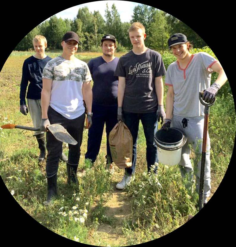 Opetus: kehityskohteita Green City Farm: pellon toiminnan ja siihen liittyvän opetuksen kehittäminen sekä vahvempi hyödyntäminen selvittäminen, osana jokaista tutkinnonosaa Enemmän Keke-opetusta ja