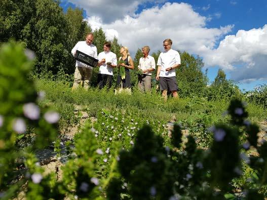 Ruokatuotannon tiimistä edustaja Keke-työryhmään Portaat