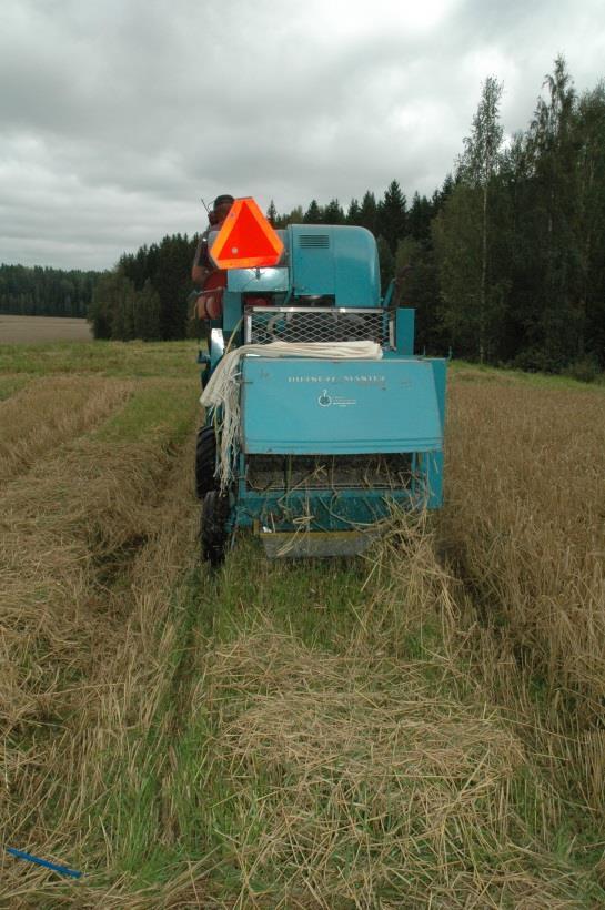 ruudun jokaista lajiketta jokaiselle