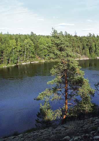 Salpausselästä pohjoiseen maisema on metsäistä ja runsasjärvistä, kaupungin eteläosa