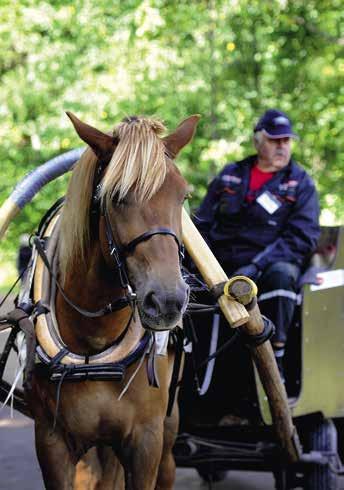 Meidän Maaseutu -festivaali järjestetään joka toinen vuosi, seuraavan kerran