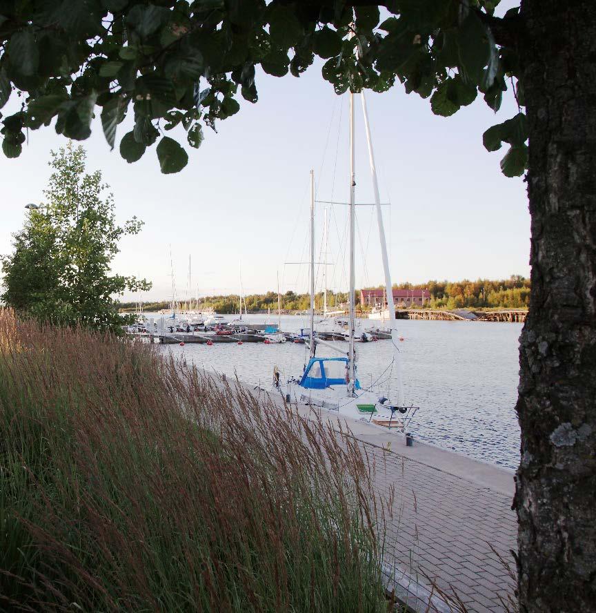 Ranta-Toppilan myyntitontti Ranta-Toppila on uusi merellinen ja vanhan Oulun puukaupunki-perinnettä kunnioittava asuinalue. Alueen kadut on rakennettu (ei päällystetty).