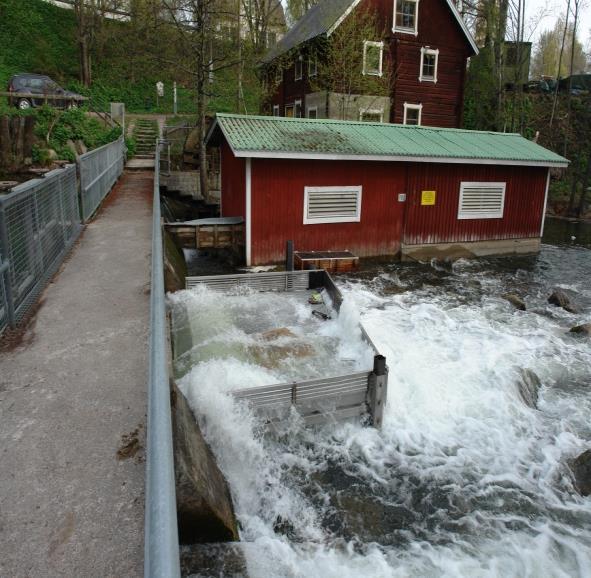 Ylisiirto Vääksynjoelta mereen 2014-2017 980 ankeriasta on pyydetty, merkitty