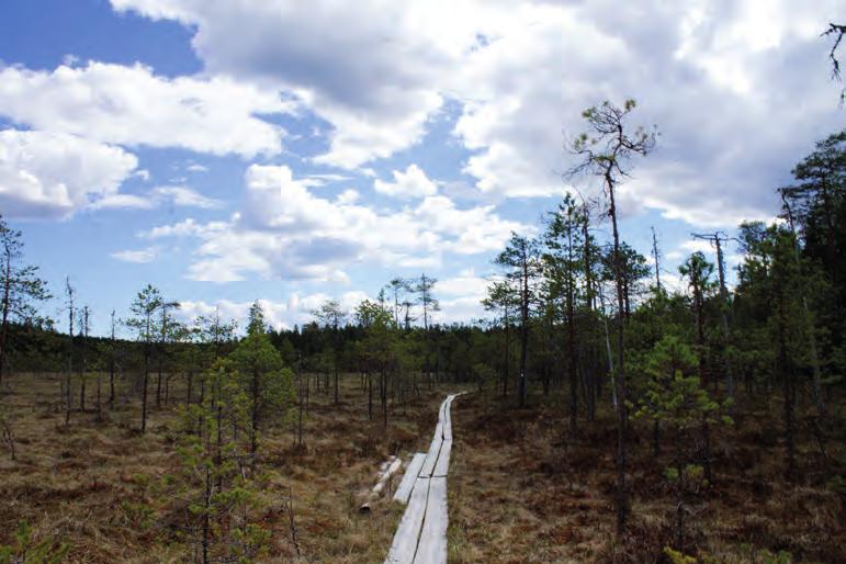 Julmat Lammit rotkolampineen ja synkän komeine metsineen, Kansallispuisto Pyhä-Häkki ikiaikaisine honkineen sekä Kulhan luonnonsuojelualue vuorineen ja rotkolaaksoineen.