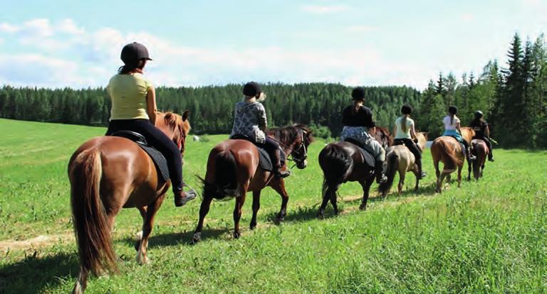 KARTAT JA INFO TAPAHTUMAT PALVELUT VAPAA-AIKA KÄYNTIKOHTEET LUONTOKOHTEET KULTTUURI 34 RATSASTUSTA PUROLA FARMILLA Tule kokemaan ainutlaatuinen maaseudun rauha hevosen selässä!