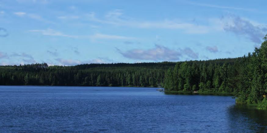 SAARIJÄRVEN KAUPUNKI Sivulantie 11 / PL 13,