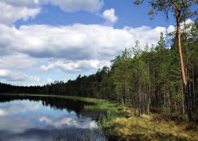 Kansallispuisto soveltuu kevyeen patikointiin kolmen ja kuuden kilometrin pituisilla retkipoluilla tai koko päivän kestävään retkeilyyn!