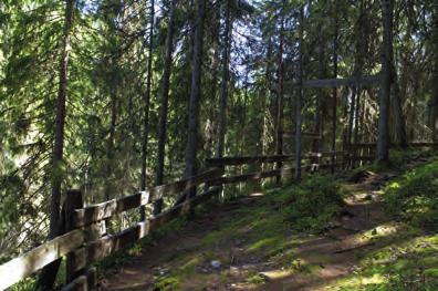 Kulhan luonnonsuojelualueella pääset kokemaan Kulhanvuoren, yhden Keski-Suomen korkeimmista kohdista, joka kohoaa 260 metriä merenpinnan yläpuolelle.