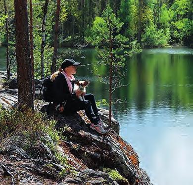 Julmat Lammit on luonnonsuojelualue, jossa pääsee näkemään jääkausien vaikutusta kallio- ja maaperään sekä maan pinnanmuotojen kehittymiseen. Katso video kohteesta!