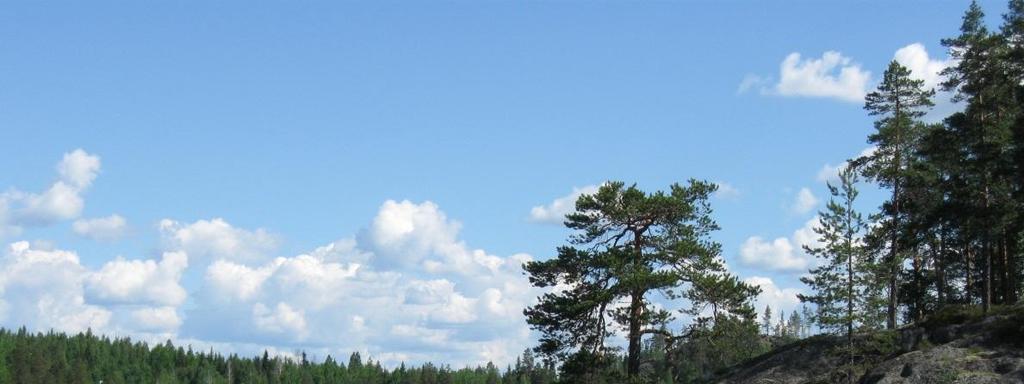 Mikkelin seudun ympäristölautakunta 26.