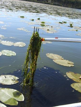 Pyykös- ja Kuivasjärvi Huomaa löyhä ja musta sedimentti Pohjiin kerääntynyt runsaasti valuma-alueelta