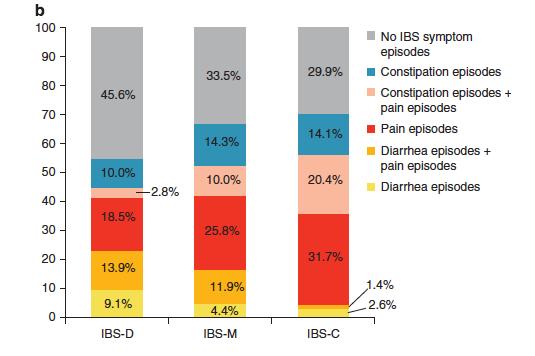 IBS ALATYYPIT OIREPÄIVÄKIRJA