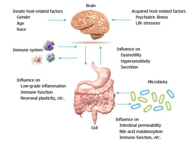 IBS -