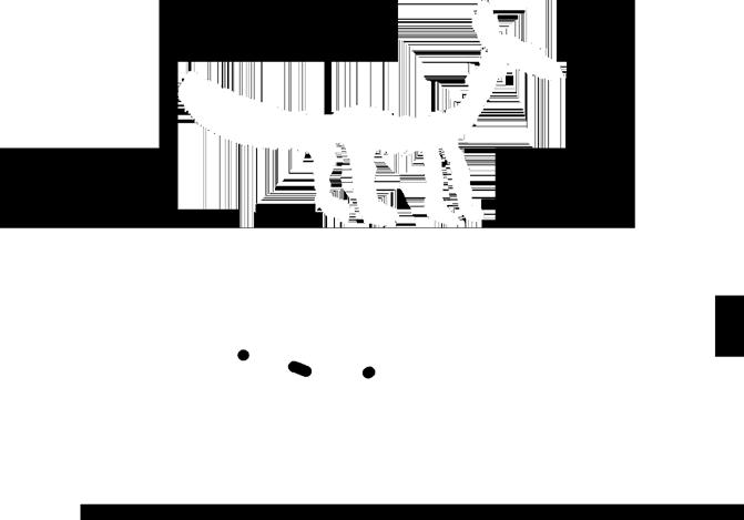 Koivula