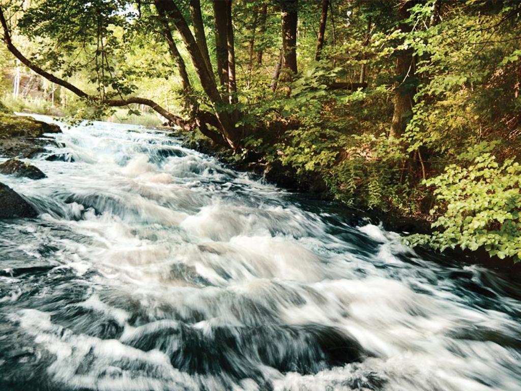 Hämeen metsäohjelma, toimenpiteiden päivitys