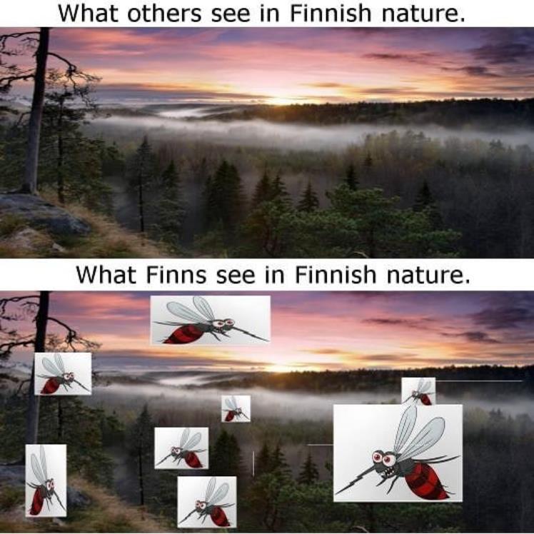 Lisätkää kuva tähän