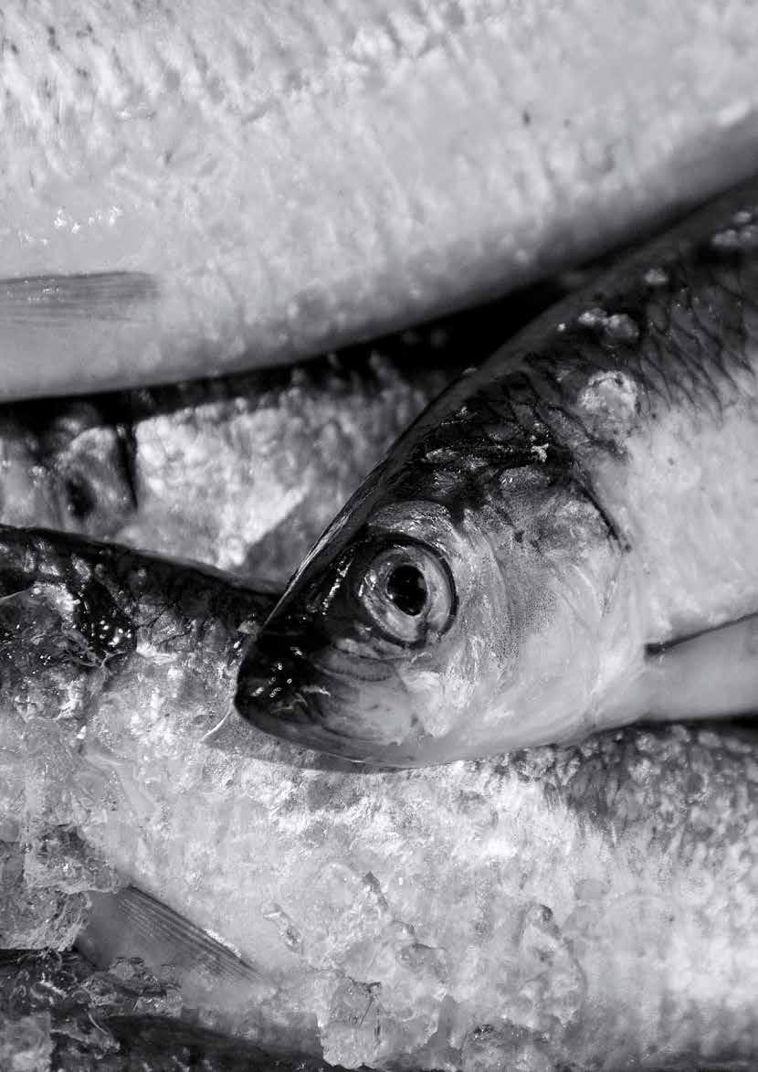 ODIN Norge Rahasto on indekseistä riippumaton ja voi sijoittaa vapaasti Norjassa pörssinoteerattuihin tai