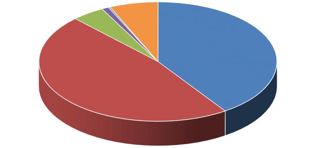 Käyttötalouiden menojaukauma 2018, bruttomenot Palkat ja palkkiot 18,27 % Henkilöstösivukulut 5,86 % Palveluiden osto 66,62 % Aineet, tarv.