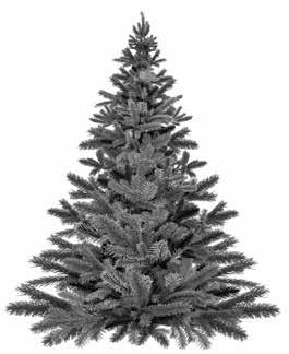 20.12.
