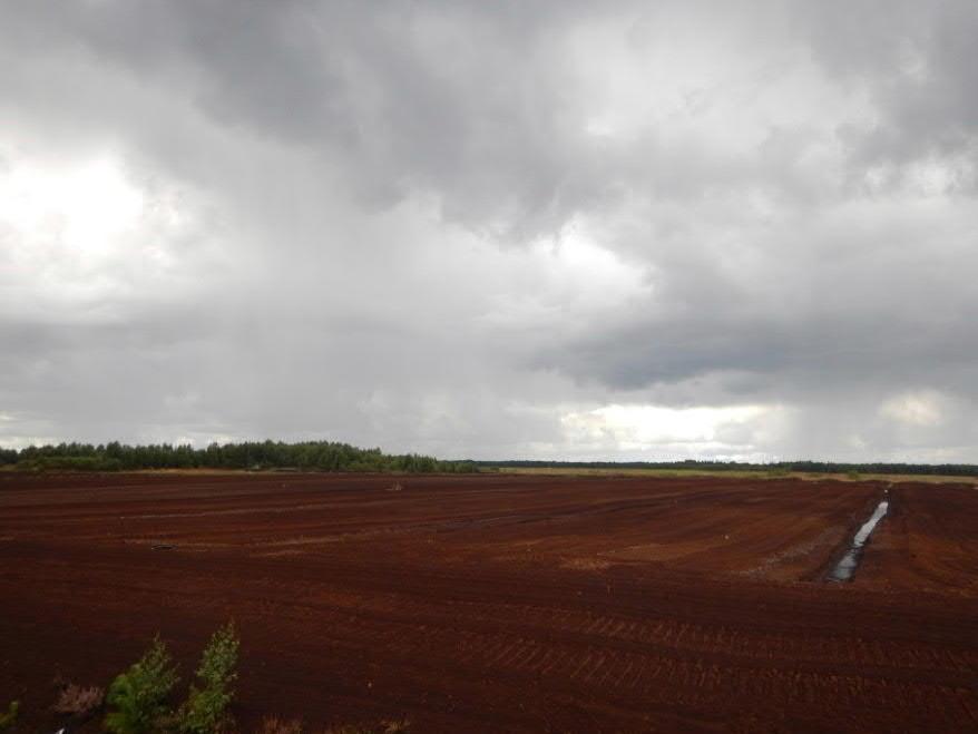 31 4 TEKNINEN KUVAUS 4.1 Hankkeen tekninen toteutus Vaihtoehdossa VE1 Korvanevan turvetuotantoalue muodostuu kahdeksasta tuotantolohkosta, joiden tuotantoala on 283,0 ha.