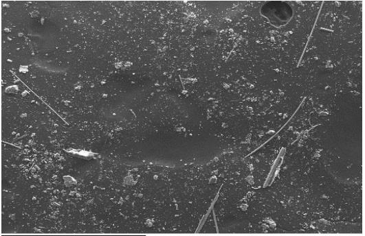 Kuva 76. Pyyhkäisyelektronimikroskooppikuva tuloilman päätelaitteen pölystä (tila 1161 / 2PÖ), jossa on havaittavissa pitkiä ja kapeita mineraalivillakuituja. 8.4.