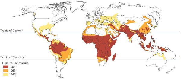 immuniteetti (osittain suojaava, edellyttää jatkuvaa altistumista) yleistila Mahdollinen estolääkitys Malaria-löydösmäärät Suomessa 1995-2011 70 60 50 Plasmodium falciparum Plasmodium vivax 40