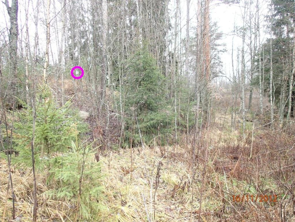 10 Kuopan tarkka paikka merkitty ed. sivulla olevalle tilaajan suunnitelmakartalle. Vesihuoltolinja kulkee rinteen juurella, vanhassa pellossa kuopan etelä ja kaakkoispuolella.