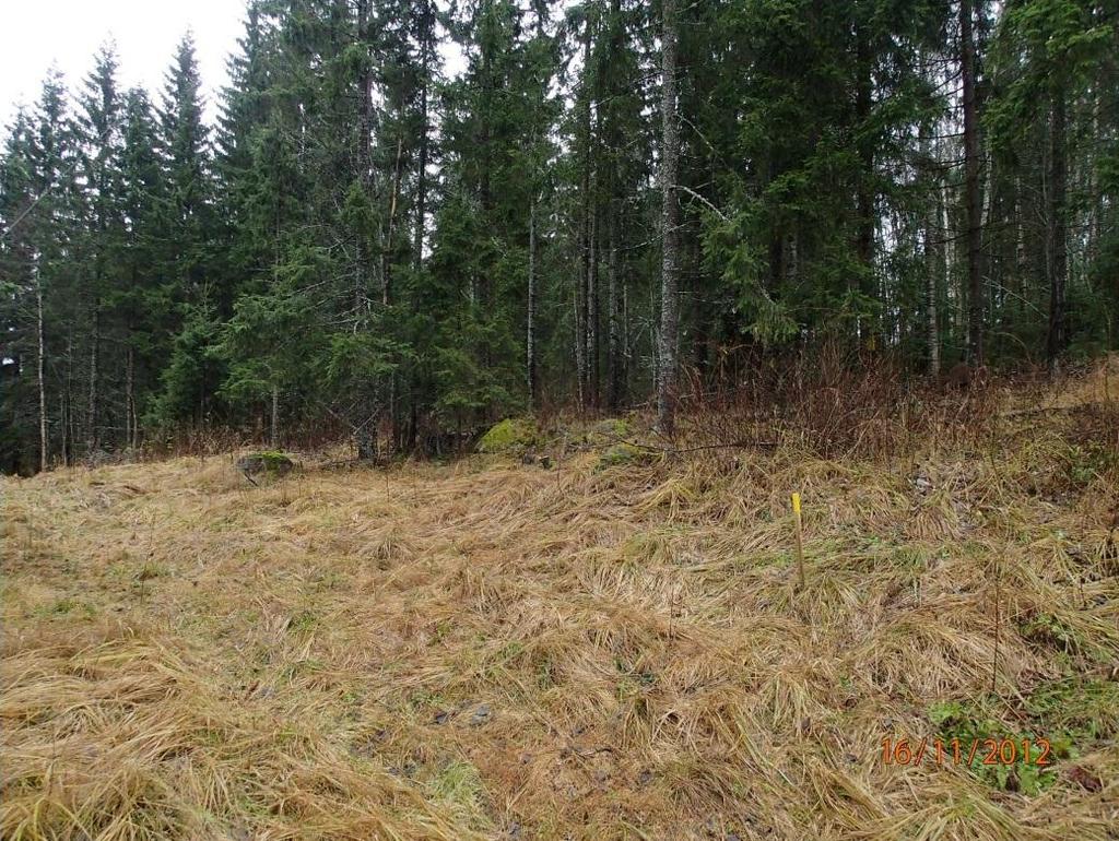Sähkölinja ja tieura vasemmalla, taustalla tasanne jolla