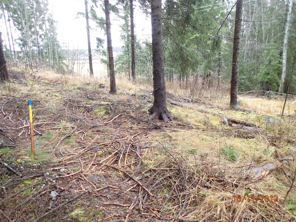 8 Linjan kulmapiste asuinpaikan luoteispuolella,