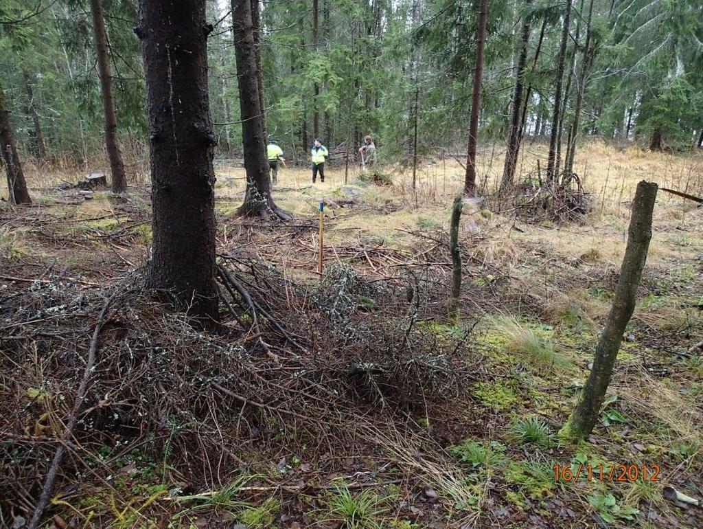 9 Edellisessä kuvan kohdilta otettu kuva itää.