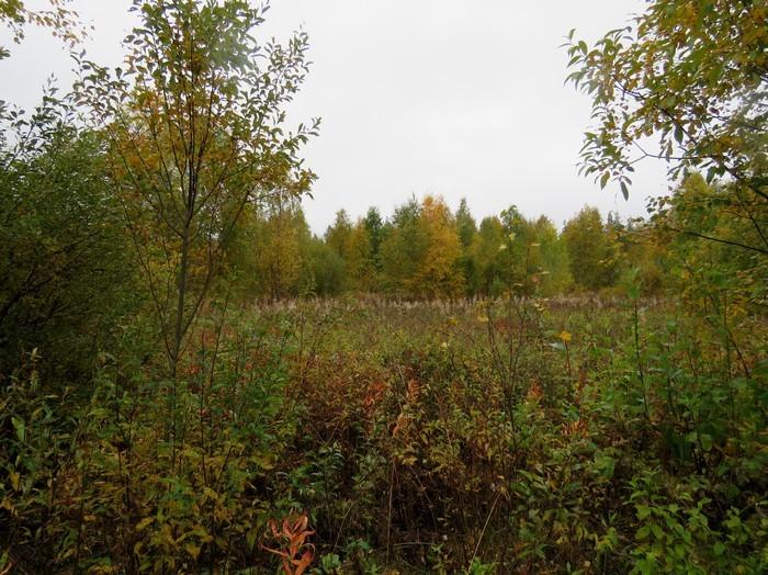 Iso asutustontti Etelä-Portimon