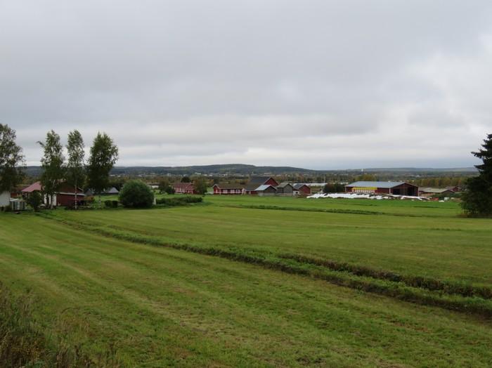 Tornionjoki Armassaaren kohdalla pohjoiseen.
