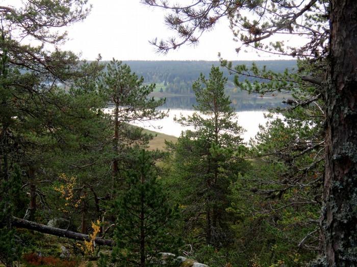 Loma-asutustontti Poikkilahden eteläpuolella