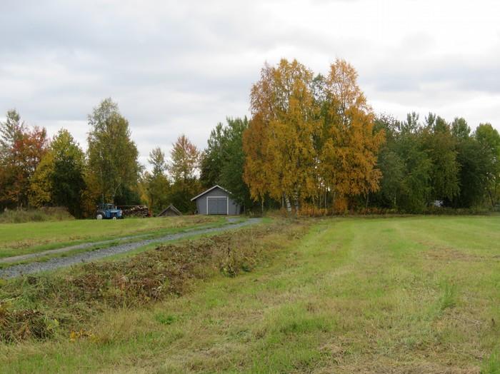 21 Kuva 34. Loma-asutustontti joen pohjoispuolella Martimossa. Kuva 35. Kuussaaren pohjoinen loma-asutustontti, kuvattu Tasainen siltti/hiekka-alue. Pohjoiseen.