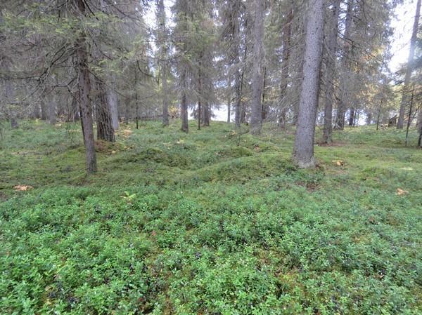 Asutus ilmeisesti voimistui, kun Tornionjokilaakson kohdalle oli muodostunut kapea vuono. Sen ajanjakson merkittävin asuinpaikka on Närkki, joka oli ilmeisesti melko laaja.