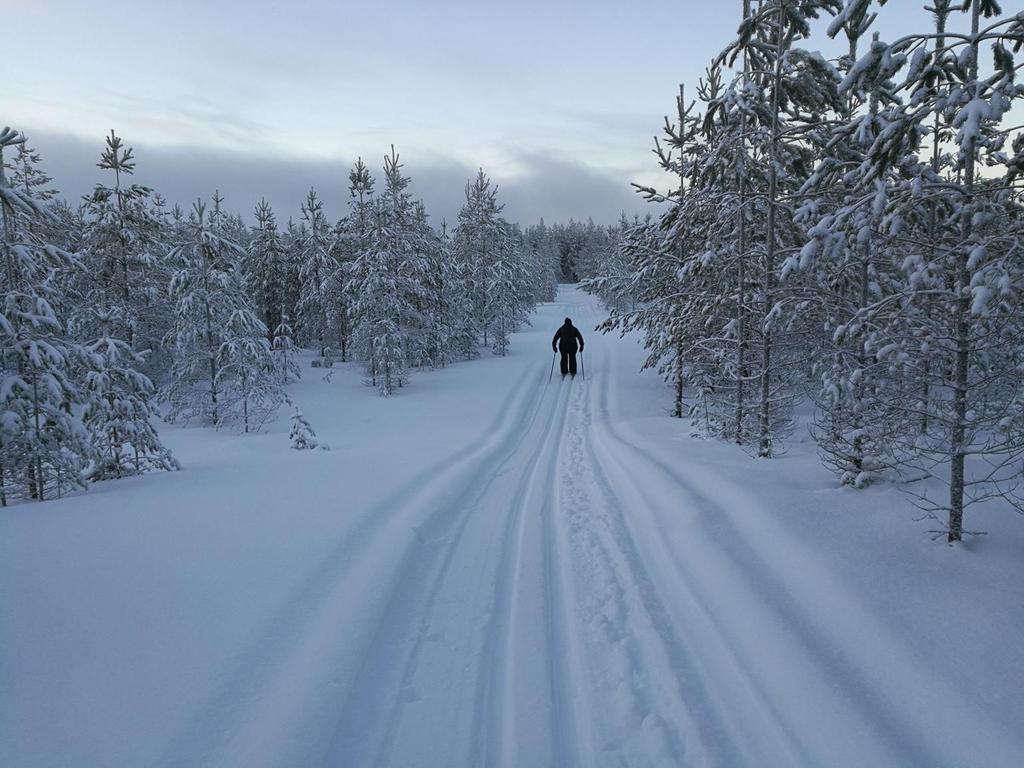 UUDET HIIHTOLADUT