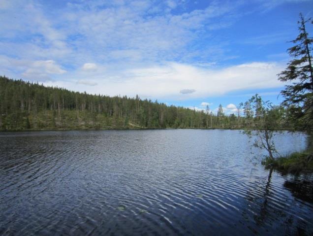 Vaarojen rinteiden suopainanteista yleensä lähtee puroja rinnettä alaspäin. Lisäksi alueella on useita puroja vaarojen välisissä painanteissa sekä lähdepuroja.