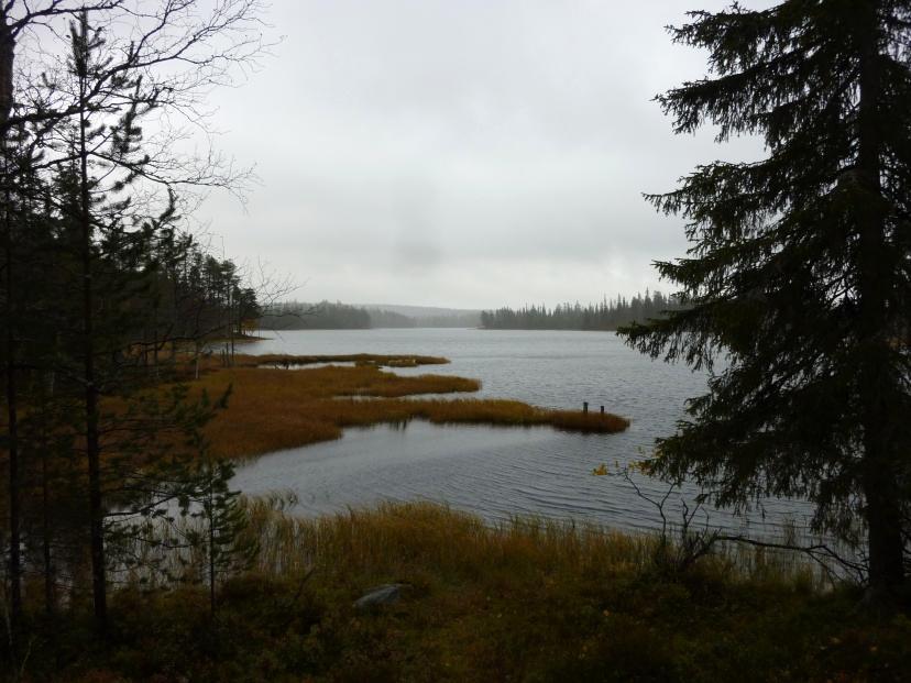 POSION KUNTA 39 Kuva 19. Suo-, vaara- ja järvimaisemia. Näkymiä kaava-alueelta. Kuva 20. Posio-Rovaniemi tiemaisemaa kaava-alueen kohdalla.