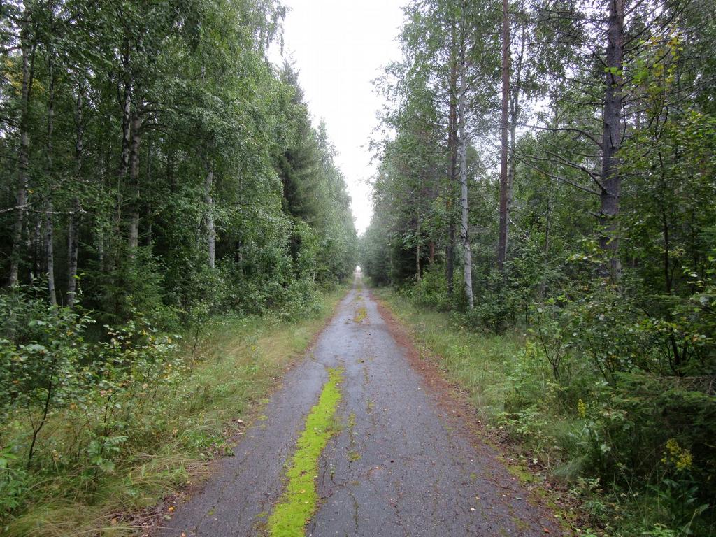 4-tie Hirsikankaalla.