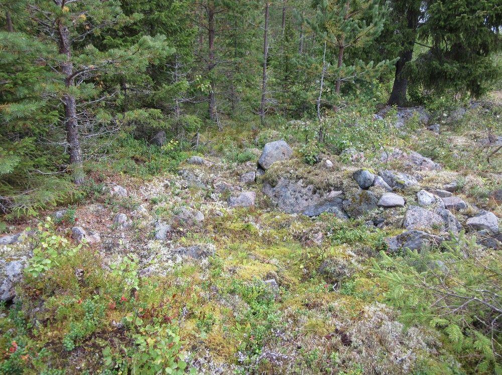 10 7. Metsäkoneen aiheuttama,