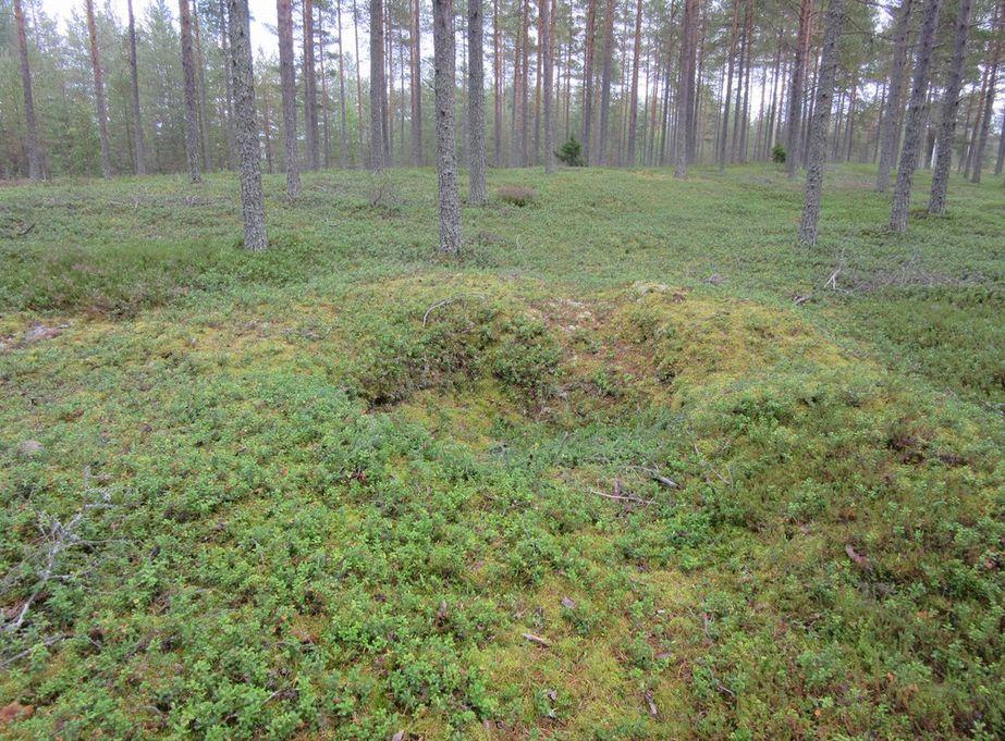 17 7. Kohdetiedot Muu havainto Santamäki Rekisteritiedot Paikkatiedot Mj-rekisteri - TM35-lehtijako S4321R Laji Muu havainto Vanha yleislehtijako 253406 Tyyppi maarakenteet Koordinaatit ETRS-TM35FIN
