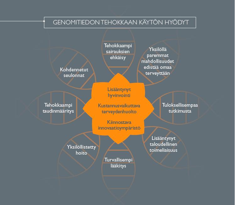 Viiden vuoden aikana, nopeamminkin ok Genomit hyötykäyttöön Kansantautien ennaltaehkäisyssä