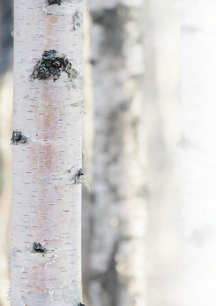 Kurssilla käytiin perusteellisesti läpi, mitä mistäkin ruuasta saa, se oli mahtava homma, piste iin päälle. Sitten pystyi ja rupesi kiinnittämään enemmän huomiota syömiseen.