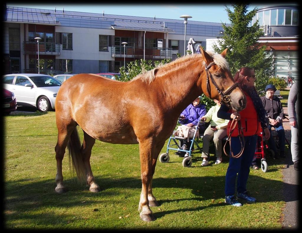 Päivätoiminta Päiväkeskuksessa toimivat ryhmät ikäihmisille maanantaisin ja torstaisin sekä muistiryhmät tiistaisin,